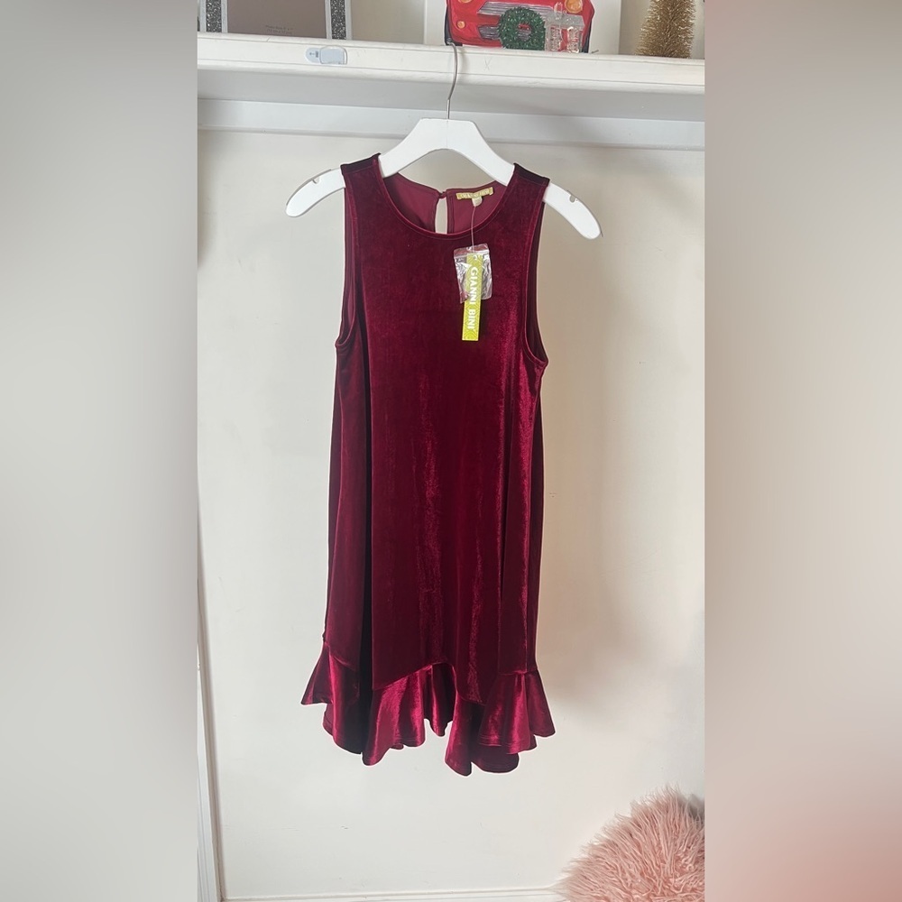 FINAL PRICE NWT GIANNI BINI LADIES VELVET DRESS